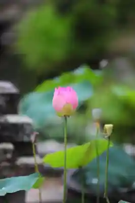 浄土寺(兵庫県)