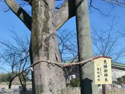 高椅神社の自然