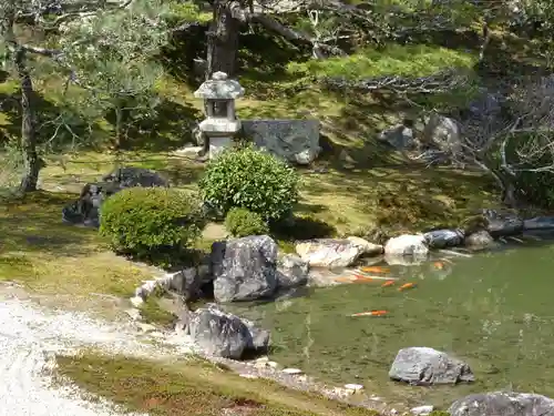 仁和寺の庭園