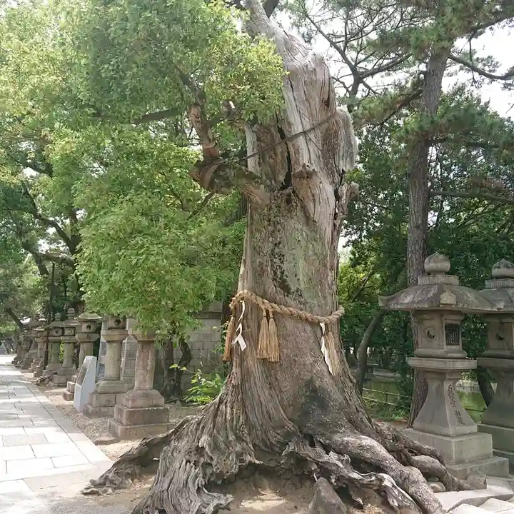 住吉大社(大阪府)