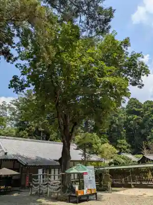 小御門神社(千葉県)