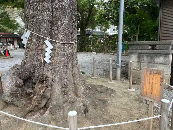 芳川神社(埼玉県)