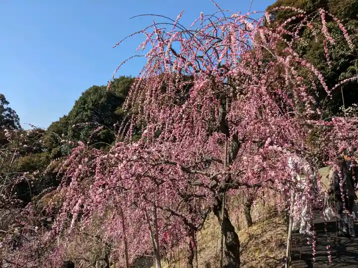 大縣神社の{uncategorized: "未分類", other: "その他", undefined: "問題あり", building: "その他建物", grave: "お墓", sacred_gate: "鳥居", guardian: "狛犬", statue: "像", buddha: "仏像", history: "歴史", nature: "自然", garden: "庭園", animal: "動物", pagoda: "塔", temizu: "手水舎", mountain_gate: "山門・神門", sanctuary: "本殿・本堂", subordinate: "末社・摂社", art: "芸術", scenery: "景色", jizo: "地蔵", ema: "絵馬", goshuin: "御朱印", omikuji: "おみくじ", items: "授与品その他", amulet: "お守り", goshuincho: "御朱印帳", eats: "食事", festival: "お祭り", votive_dance: "神楽", shichigosan: "七五三参", wedding: "結婚式", experience: "体験その他", initially: "初詣", around: "周辺", anti_infection: "感染症対策"}