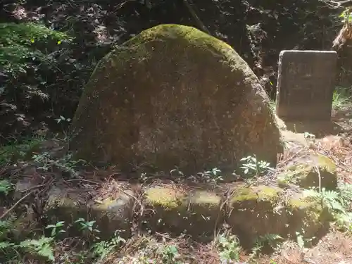 名草厳島神社の自然