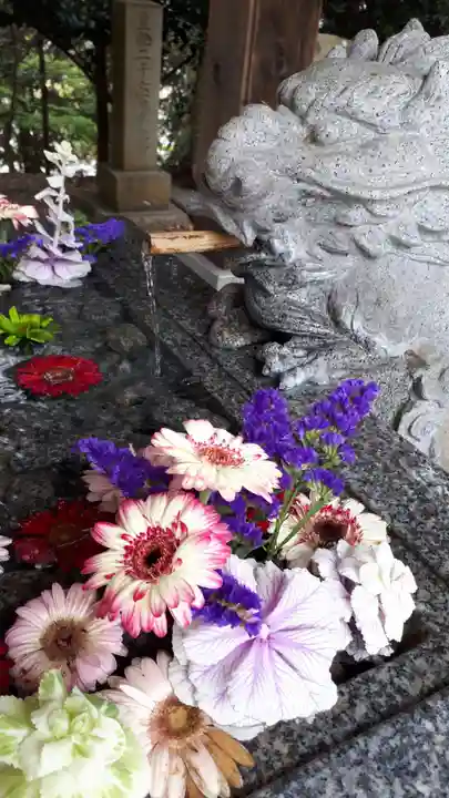 滑川神社 - 仕事と子どもの守り神の手水舎
