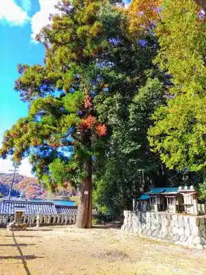 栗栖神社の自然
