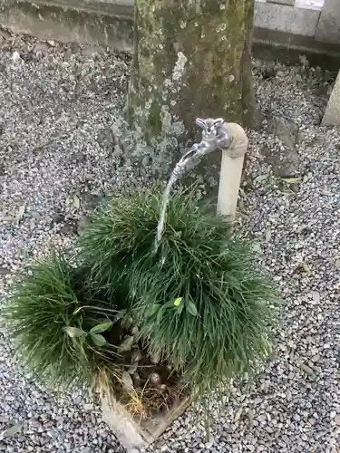 御井神社の手水舎