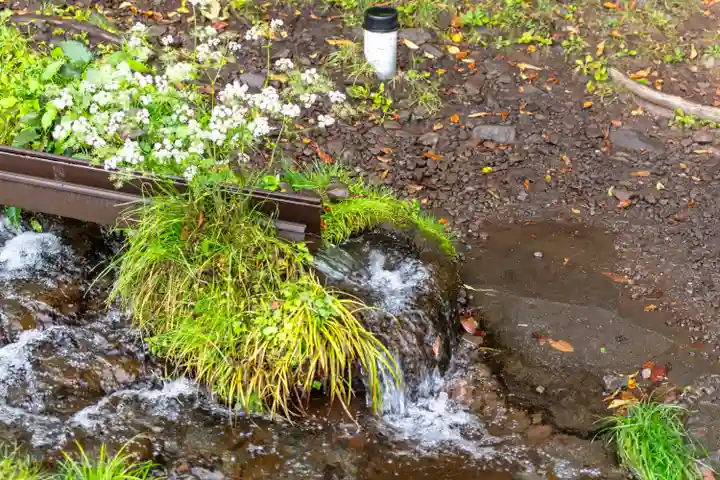 諏訪大社上社前宮(長野県)