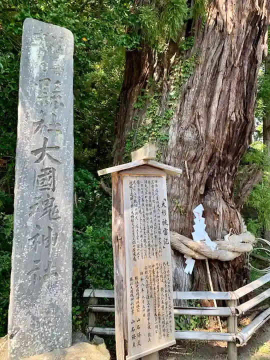大國魂神社の自然