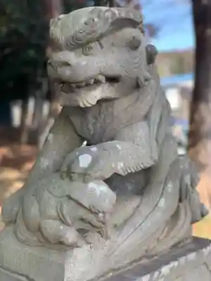 子ノ神社（早野）の狛犬