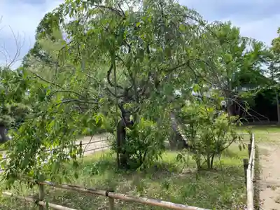 手児奈霊神堂(千葉県)