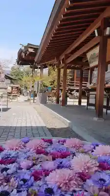 行田八幡神社の手水舎