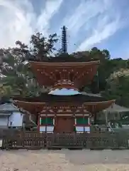 金剛寺(大阪府)