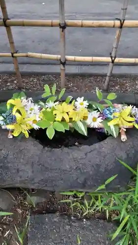 新琴似神社の手水