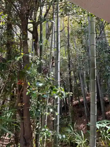 長坂大歳神社(兵庫県)