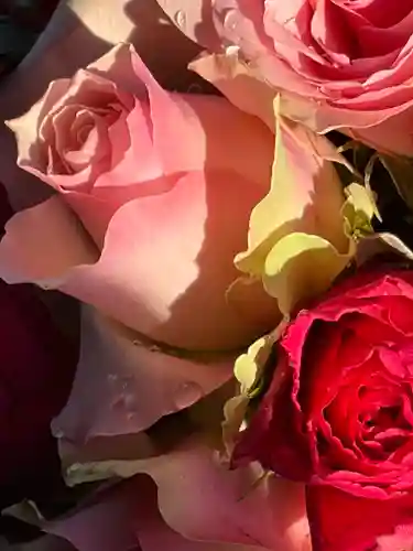 上尾御嶽神社の手水舎