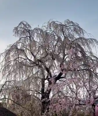 常泉寺(神奈川県)