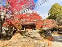 東光寺(滋賀県)