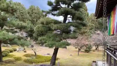 大覚寺(京都府)