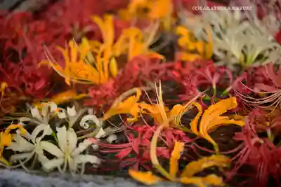 横浜　西方寺(神奈川県)