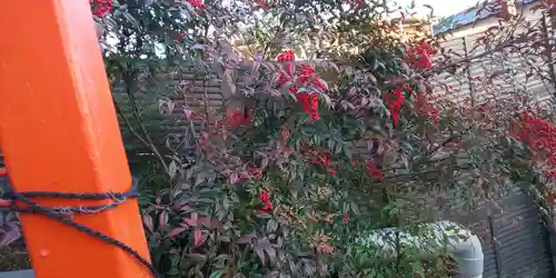 新宮神社の自然