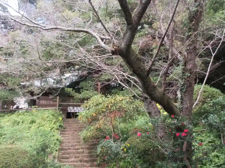 浄光明寺(神奈川県)
