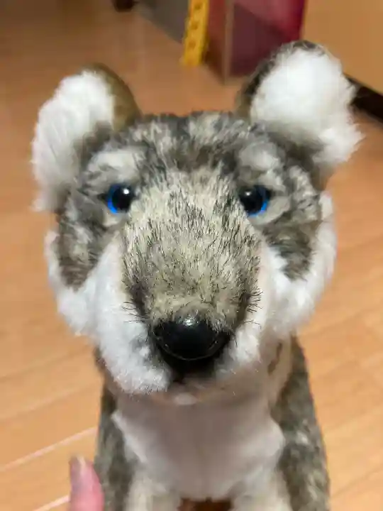 三峯神社(埼玉県)
