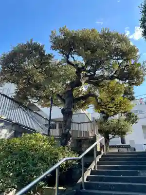 薬王寺(東京都)
