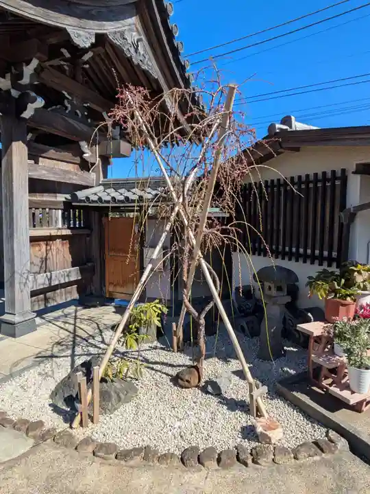 修行寺(東京都)