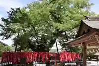 秩父今宮神社(埼玉県)