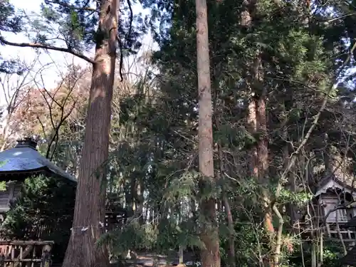 日高神社の自然