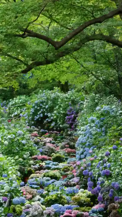長谷寺(奈良県)