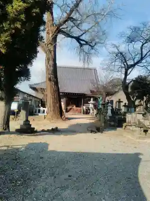 遠照寺の本殿・本堂
