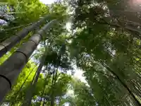熊野神社の自然
