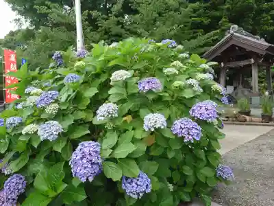 佐野原神社(静岡県)