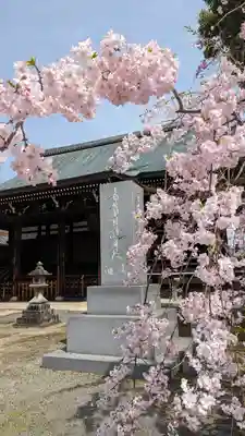 妙顯寺（妙顕寺）(京都府)