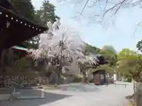 近江神宮のその他建物