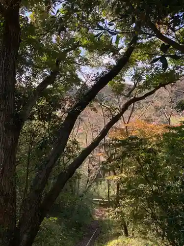八坂神社の自然