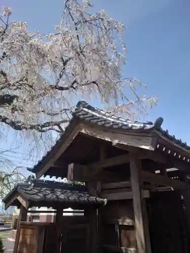 妙福寺(神奈川県)
