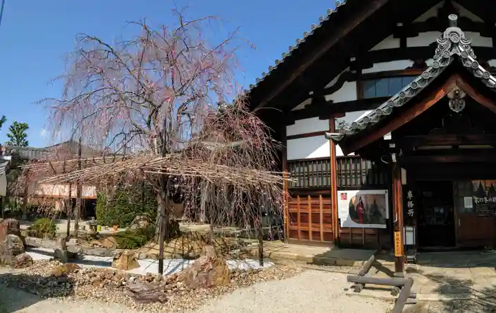 妙蓮寺(京都府)