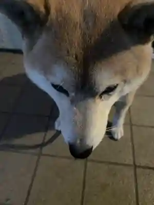 笠䅣稲荷神社(神奈川県)
