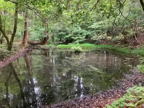 平泉寺白山神社(福井県)