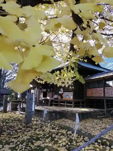 野木神社の自然