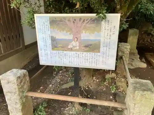 日枝神社水天宮(東京都)