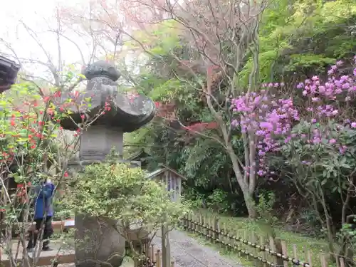 安國論寺（安国論寺）の庭園