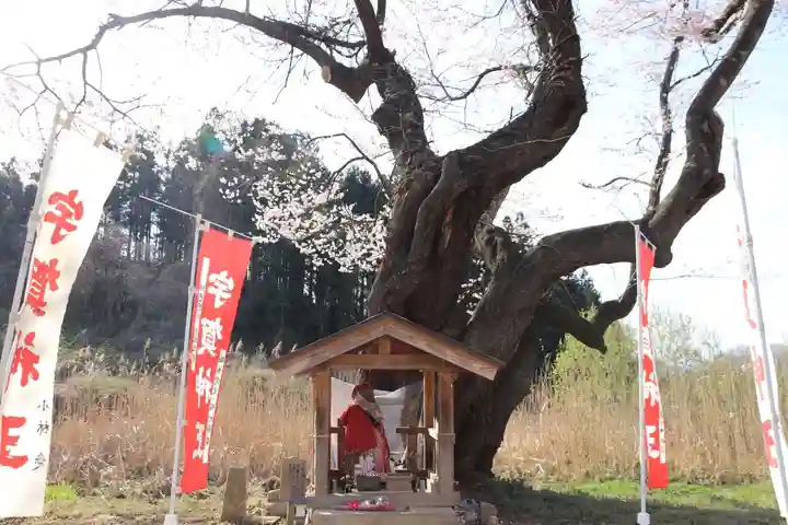 宇賀神さまの本殿・本堂