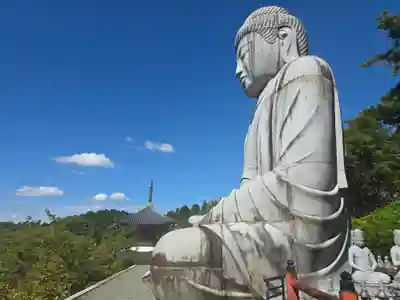 南法華寺（壷阪寺）(奈良県)