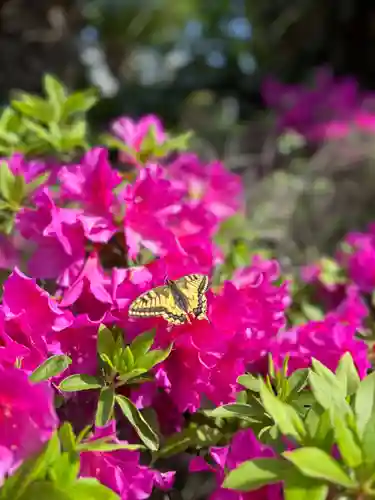 伊勢の国 四天王寺(三重県)