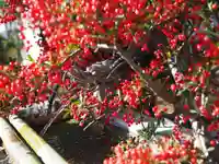 今市報徳二宮神社の手水舎