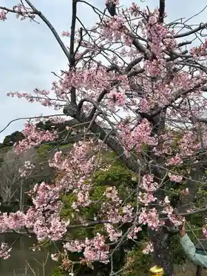 鶴岡八幡宮(神奈川県)